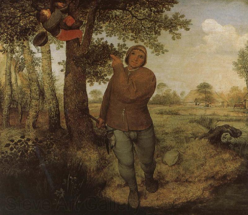 Pieter Bruegel From farmers and Selenocosmia France oil painting art